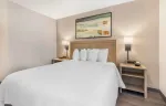 Studio Suite - 1 Queen Bed