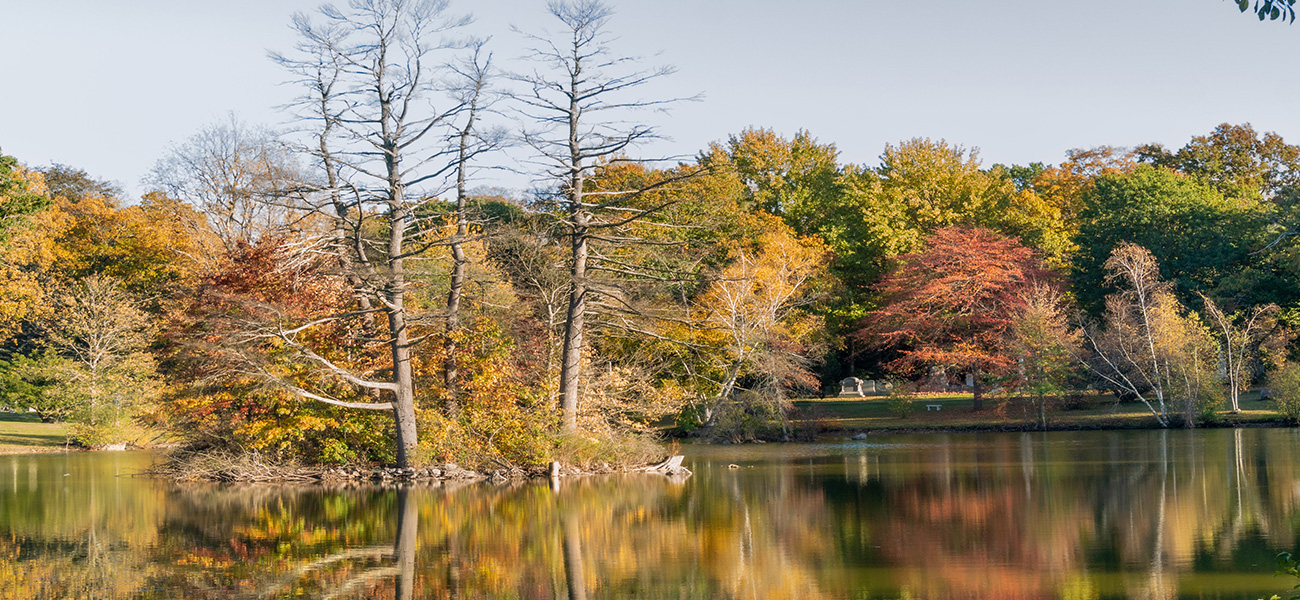Water and natural scenery in Jamaica Plain.
