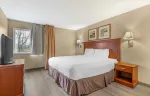 1 Bedroom Suite - 1 King Bed