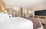 1 Bedroom Suite - 1 King Bed
