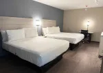 Studio Suite - 2 Queen Beds