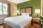 Studio Suite - 1 King Bed