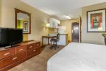 1 Bedroom Suite - 1 King Bed