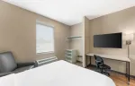 Studio Suite - 1 Queen Bed