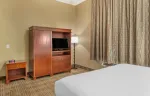 1 Bedroom Suite - 1 Queen Bed